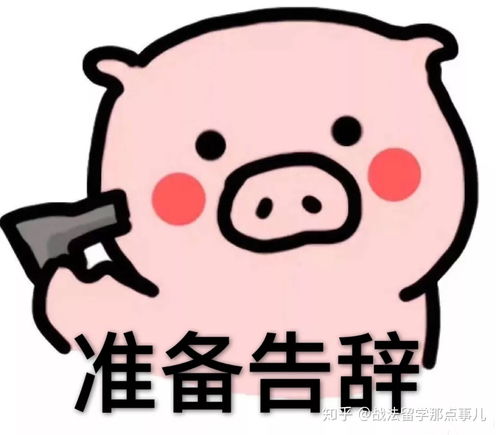  法国的垃圾分类是怎么回事呢