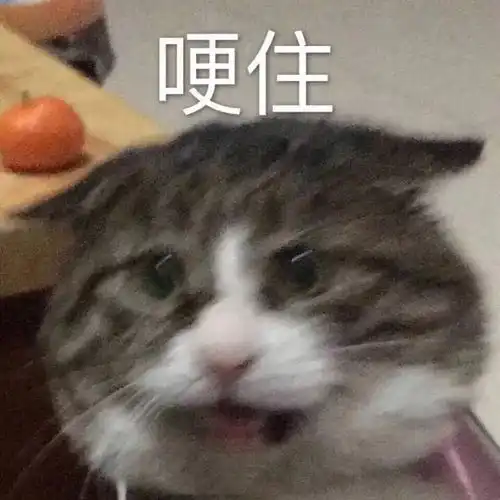  直男拍照算什么,爹妈拍照你见识过吗