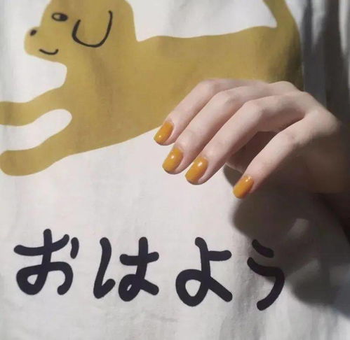  这组微信头像简直太爱了