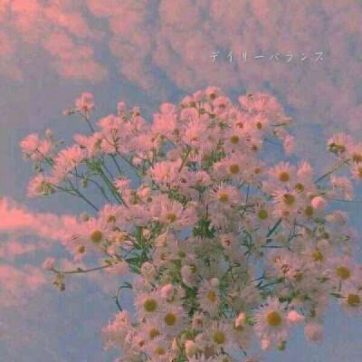  花草头像图片大全真实女人的花草招财头像