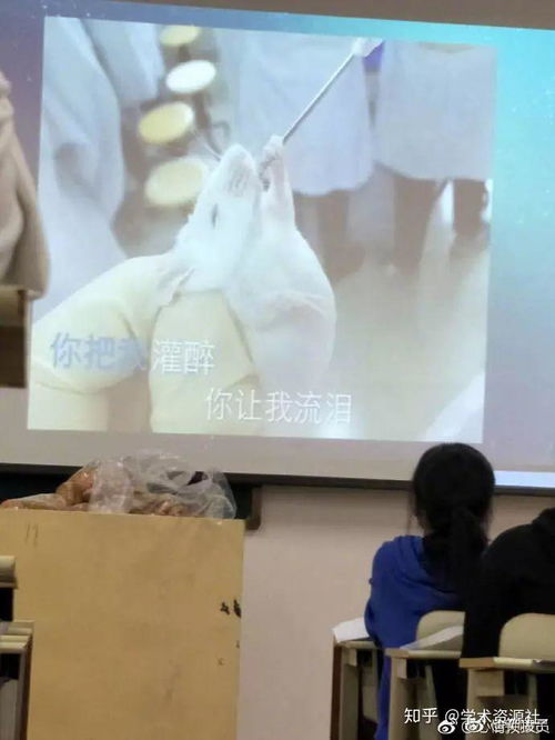 搞笑表情包模板上课