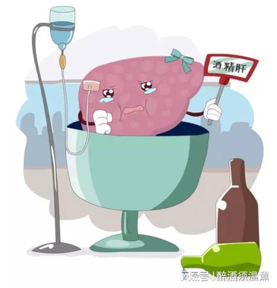  饮酒5大谎言知多少专业酿酒人帮你拆穿真相,不想中招赶紧看