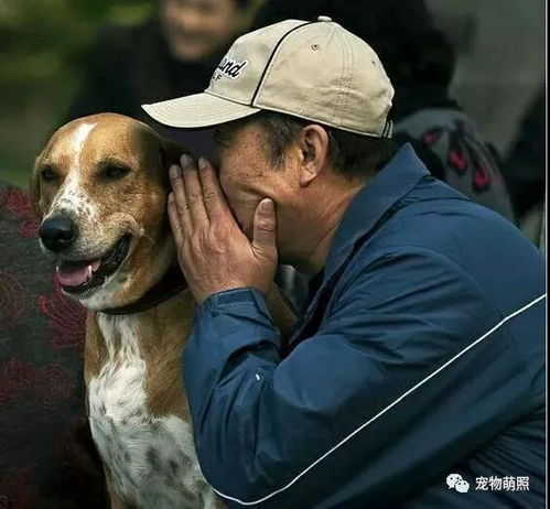  这5种疾病,网友都是养狗之后惹的祸
