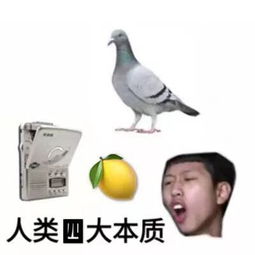  最近很多人都在发一个柠檬的表情,是什么意思