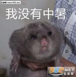 中暑了图片表情包