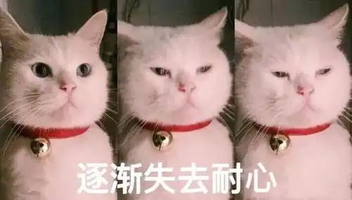  重点今年端午高速不免费这份出行指南收好
