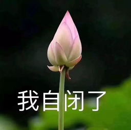  国外代购更便宜在美国买这些可亏大发了