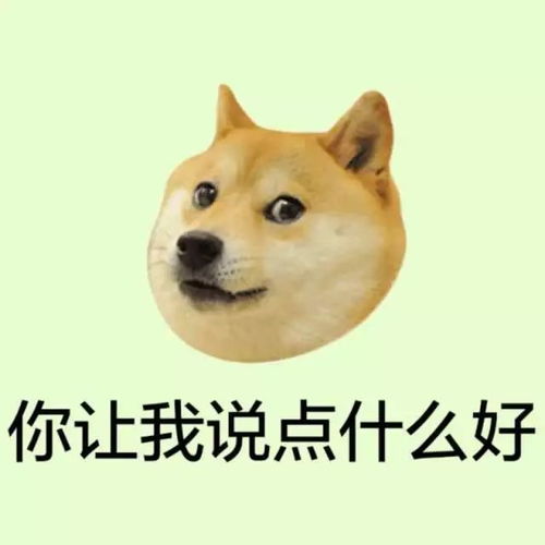  抢红包的同时,我还把各大品牌商的春节优惠看了一遍
