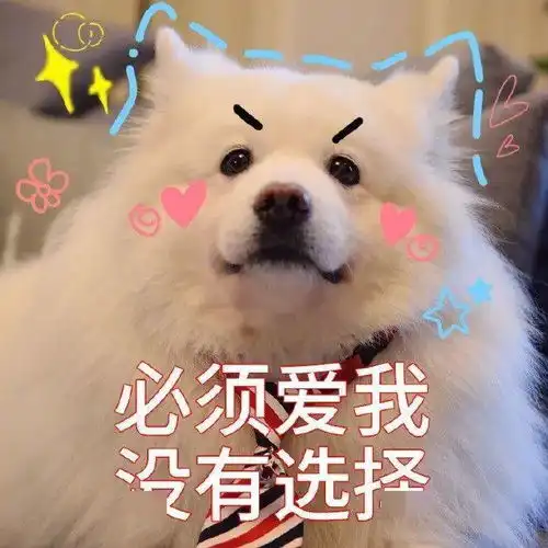  聊天斗图表情包丨甜心我来啦