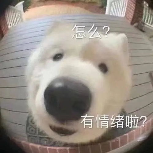 过年聚餐灌酒这种糟粕什么时候能消失