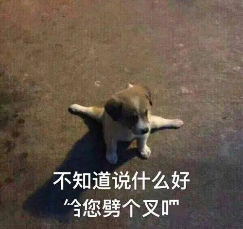  男子离婚改娶朋友妻买房后死亡,这处上海近千万房产的房贷谁来还