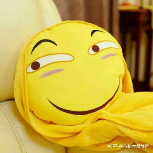  请问各位清北复旦985211的学生,支持你们的动力是什么