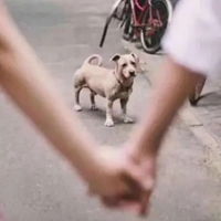  离婚头像男女离婚后专属头像