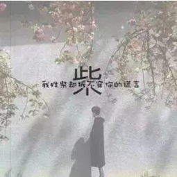  好看的姓氏头像,属于你的独一无二