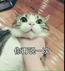  点赞市监我们盯上你了