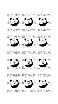  0417今日壁纸好看的壁纸千篇一律,有趣的壁纸万里挑一