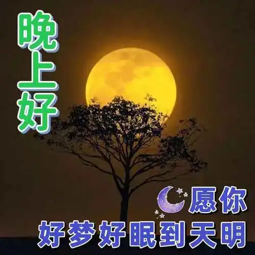 关于晚安的图片表情包好
