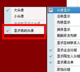  qq头像在qq里消失了为什么,怎么弄回来,最好有截图