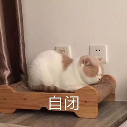  在三江的春抑里,我被这些话治愈了室友