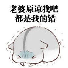 如何哄老婆开心表情包老
