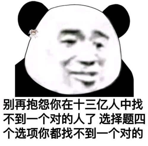 怂表情包熊猫荒岛