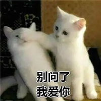  老公我爱你图片表情包