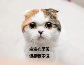  澳洲留学出勤率低被开除这样处理