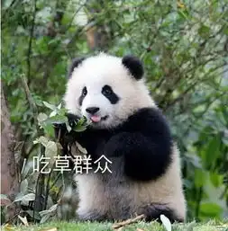  没有几张滚滚表情包,你好意思说想去偷只猫来养它一辈子