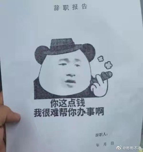  敢和领导拍桌子敢教老板做事,一言不合就离职,00后职场有多猛