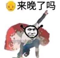  熊猫头火影表情包来了
