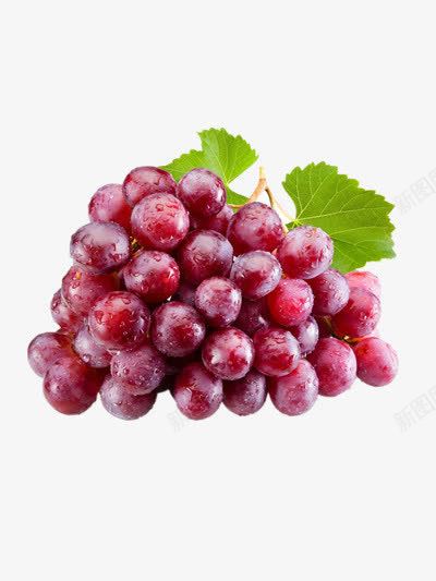  葡萄葡萄农业葡萄园葡萄庄园葡萄批发葡萄红酒葡萄节葡萄节开幕葡萄采摘葡萄采摘园葡萄采摘节进采摘葡萄元素免抠png设计图片免费下载页面网页平面电商创意素材上市素材