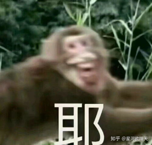  打开丙戊酸钠缓释片那神奇的瓶子是怎样一种体验