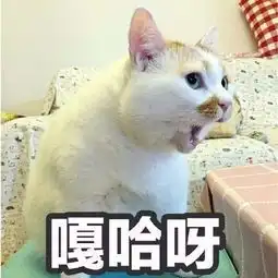  著名的表情包去世了,引发数十万粉丝哀悼