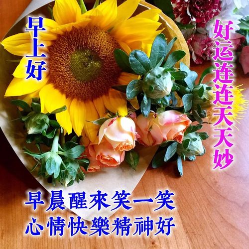  漂亮早上好问候语祝福表情图片早上好短信祝福语录最新版