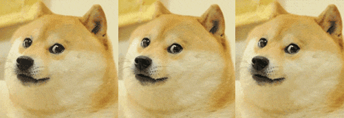  doge表情包原型柴犬去世