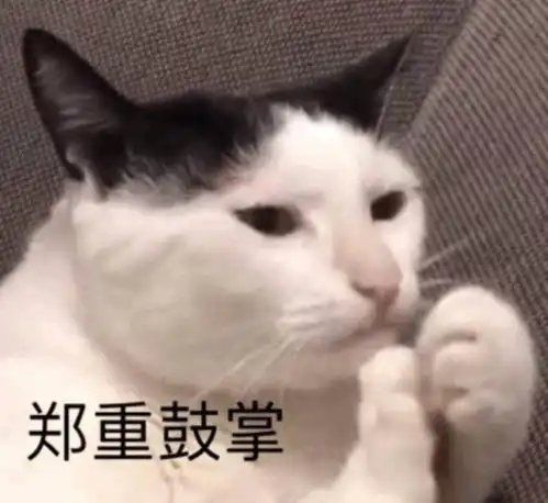  让我用我的气质来征服你