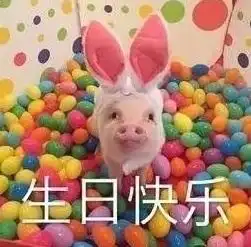  生日快乐表情包搞笑幽默点击进来收获快乐沙雕表情包