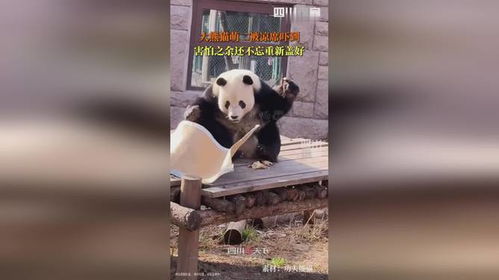  萌二被凉席吓出表情包