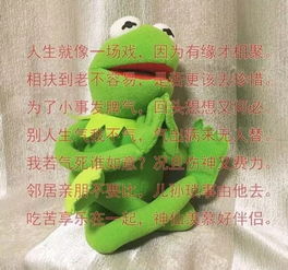  算了不骂人桌面壁纸走红网友纷纷模仿
