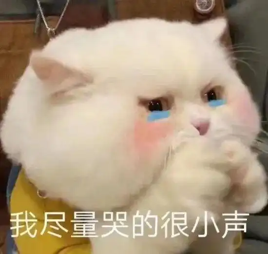  见证奇迹的时刻又到了网友仿佛看到了从前的我好消息是