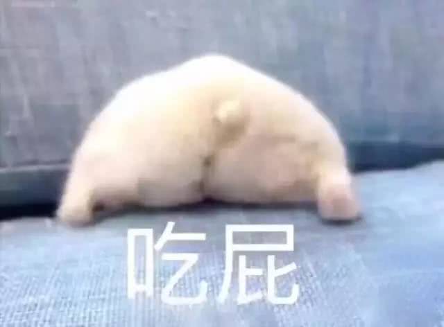  十条笑话有没有计划让新娘给你生个儿子