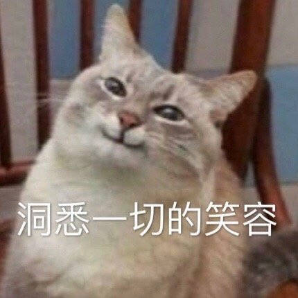  热门搞笑表情包图片洞悉一切的微笑,正在忙,一会再说