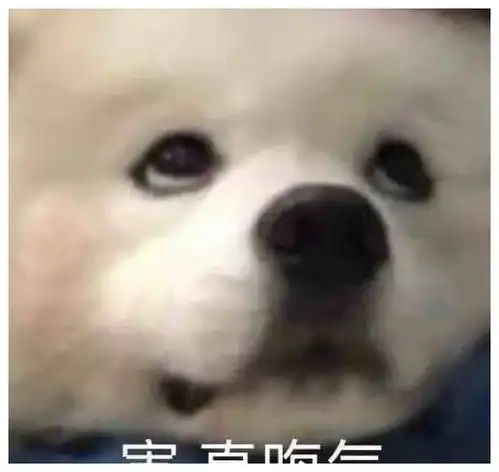  表情包丨老娘真可爱嘤嘤嘤嘤
