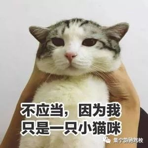  十条笑话司机一脸惊讶地看着我说都到车库了,你咋还在车上
