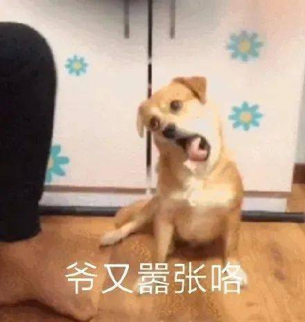  你给我点开进来