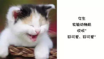 巨变学医前学医后,你中了几条