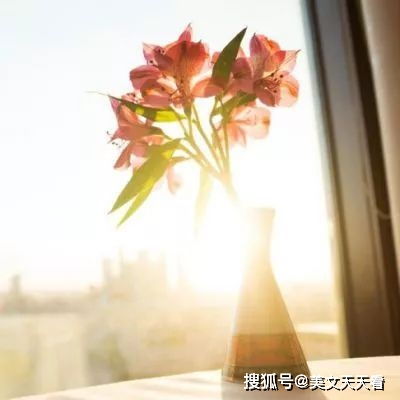  不喜欢换微信头像的人,都是什么性格