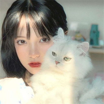 女生可爱微信头像小猫