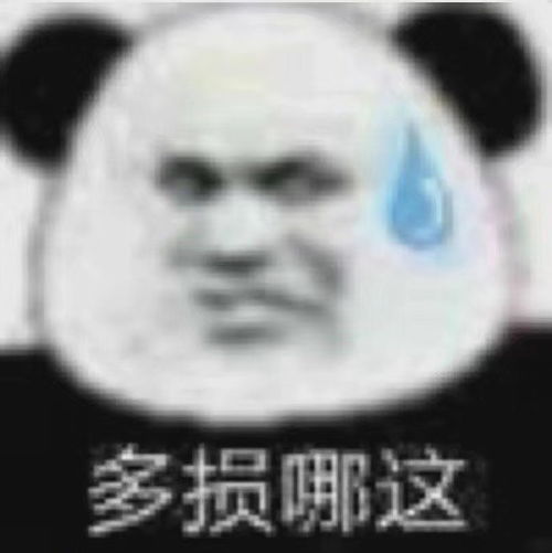  熊猫头表情包我直接好家伙