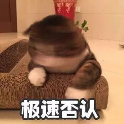  2名印度男子为女人在高速干架,她却跟第3个男人跑了